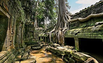 Ta Prohm